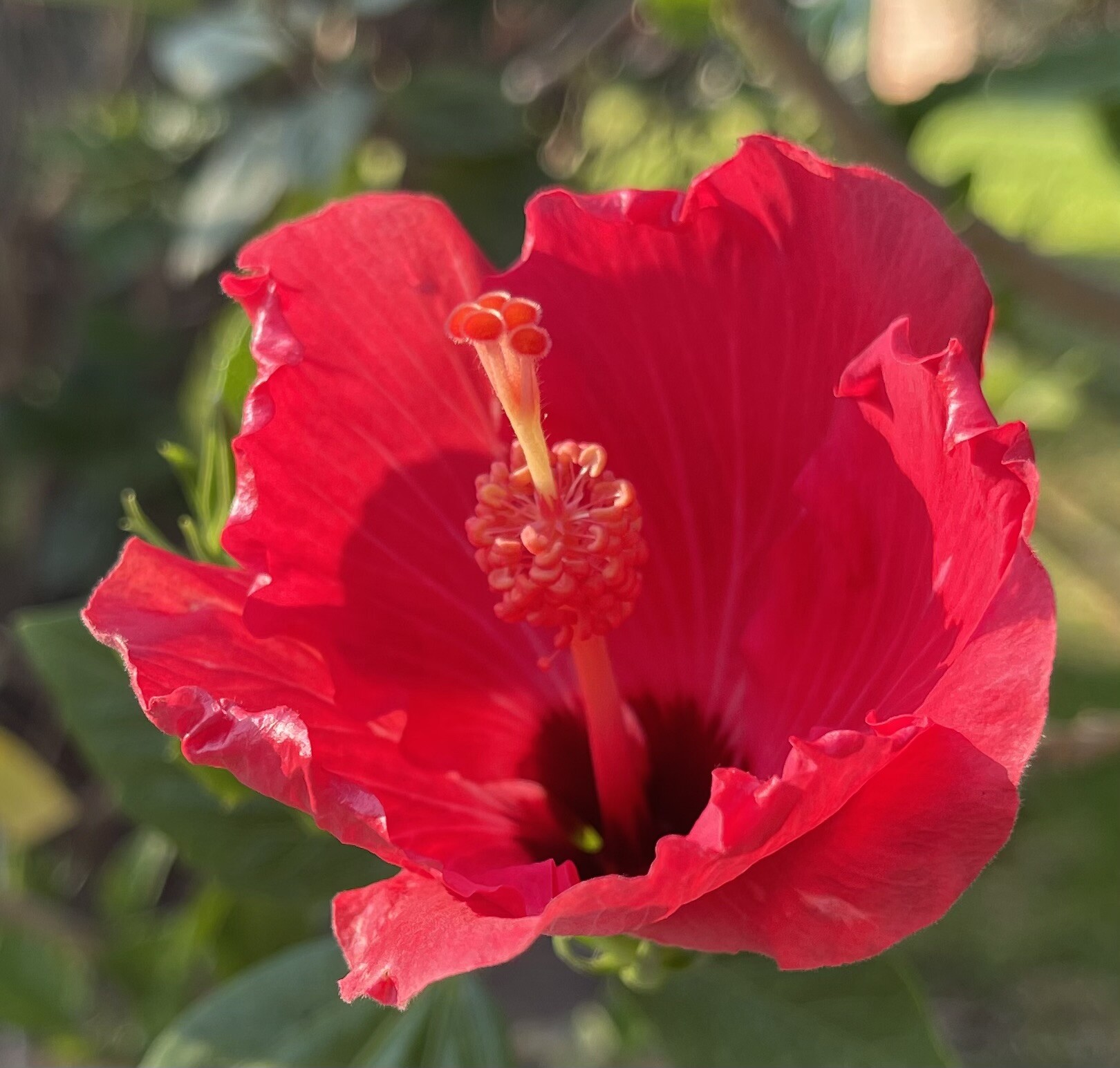 Bright Flowers in Hidden Corners