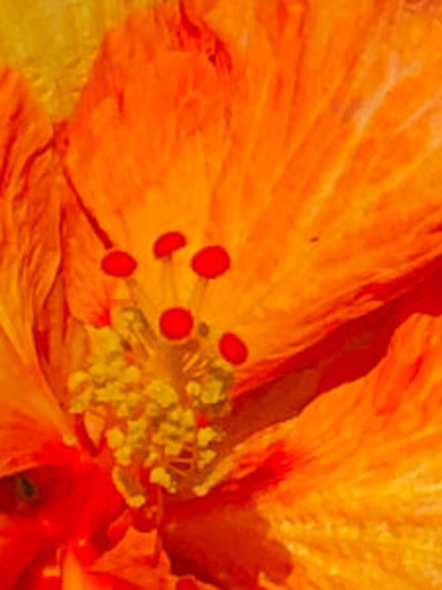Flowers and Trees-66
