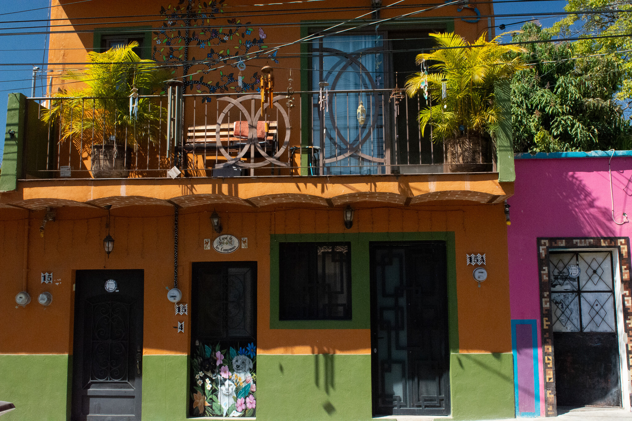 Colors of Ajijic