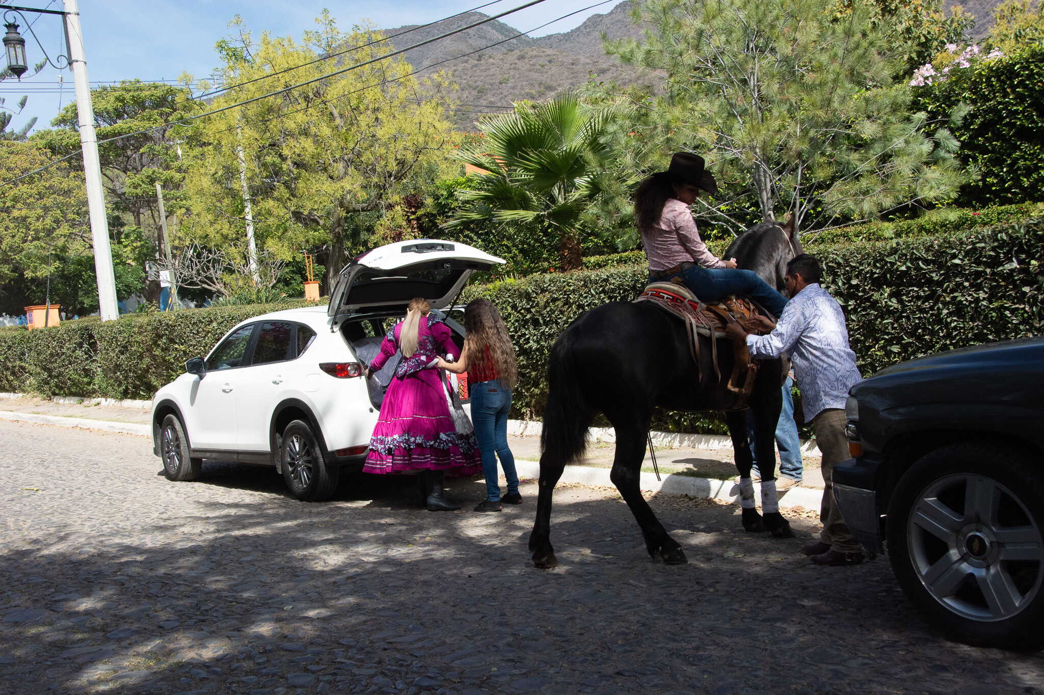 Horses of Ajijic-10