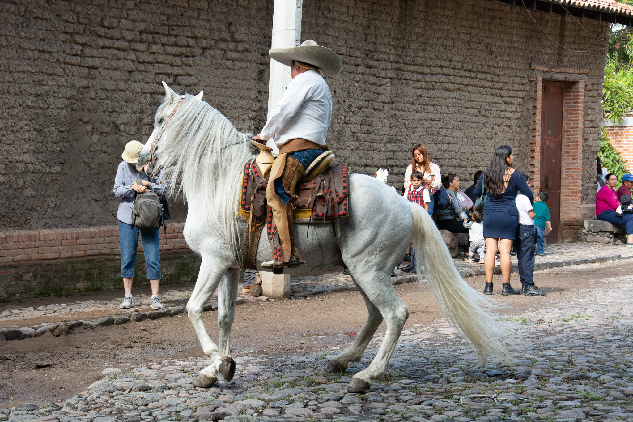 Horses of Ajijic-14