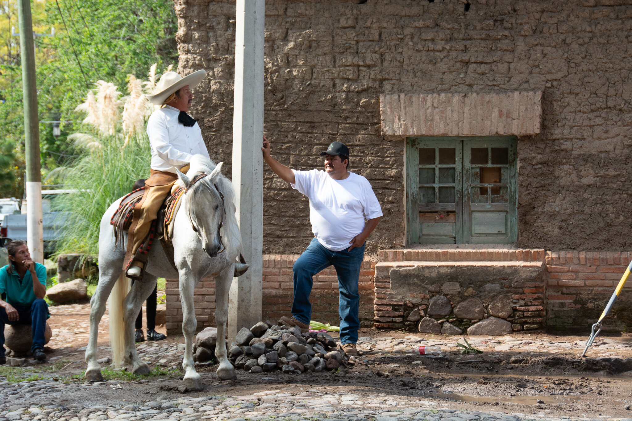 Horses of Ajijic-15