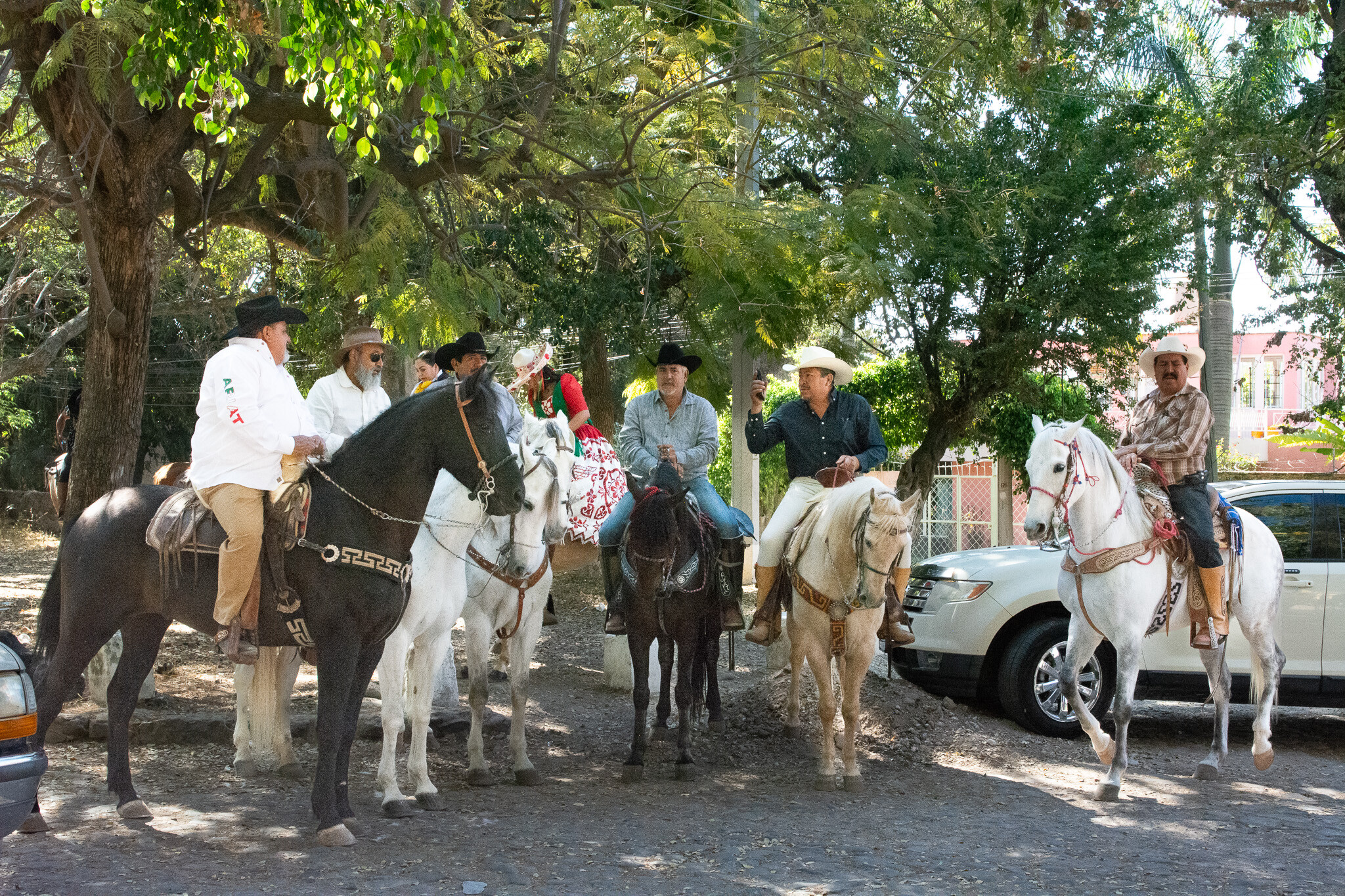 Horses of Ajijic-18