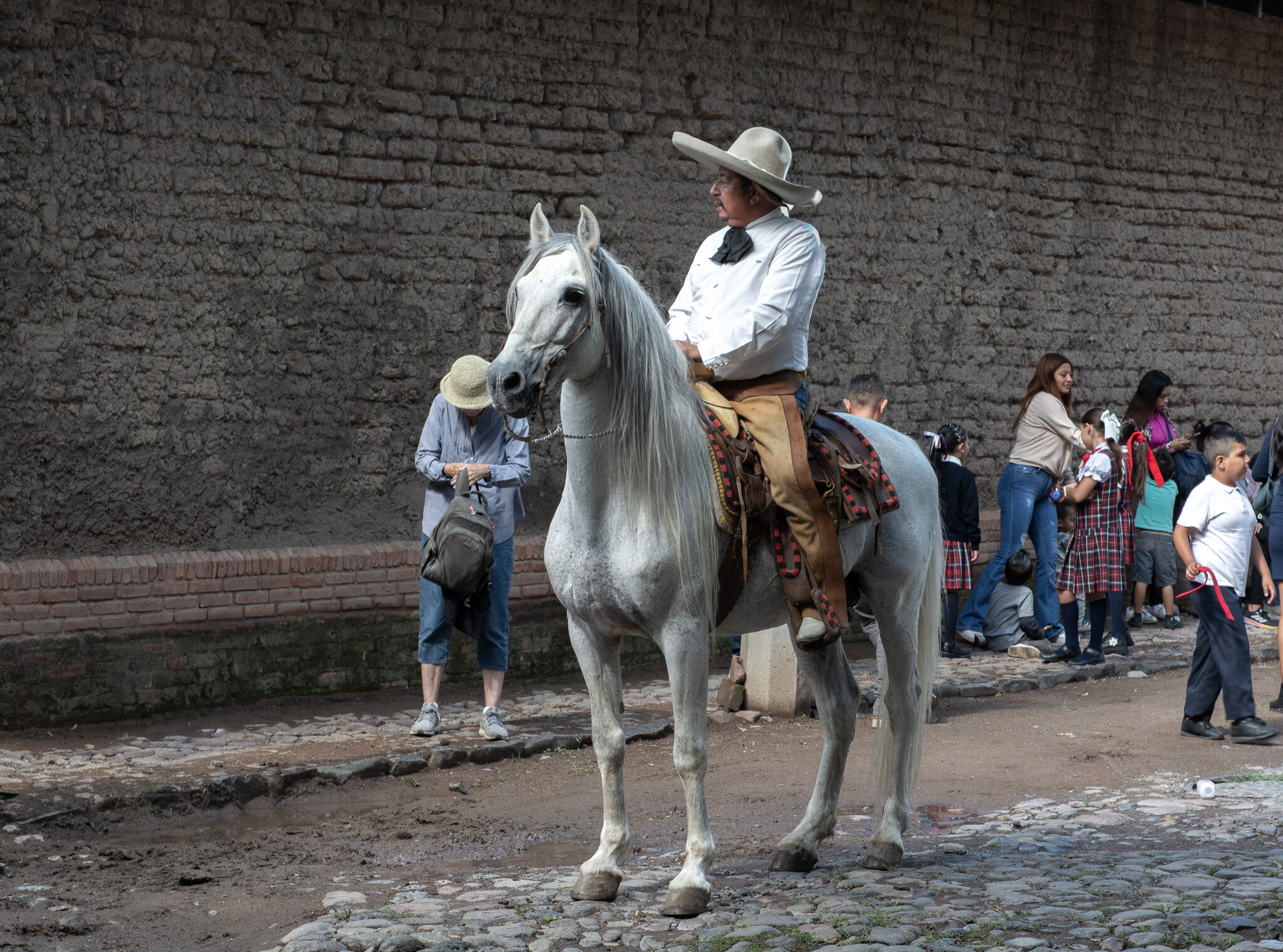 Horses of Ajijic-19