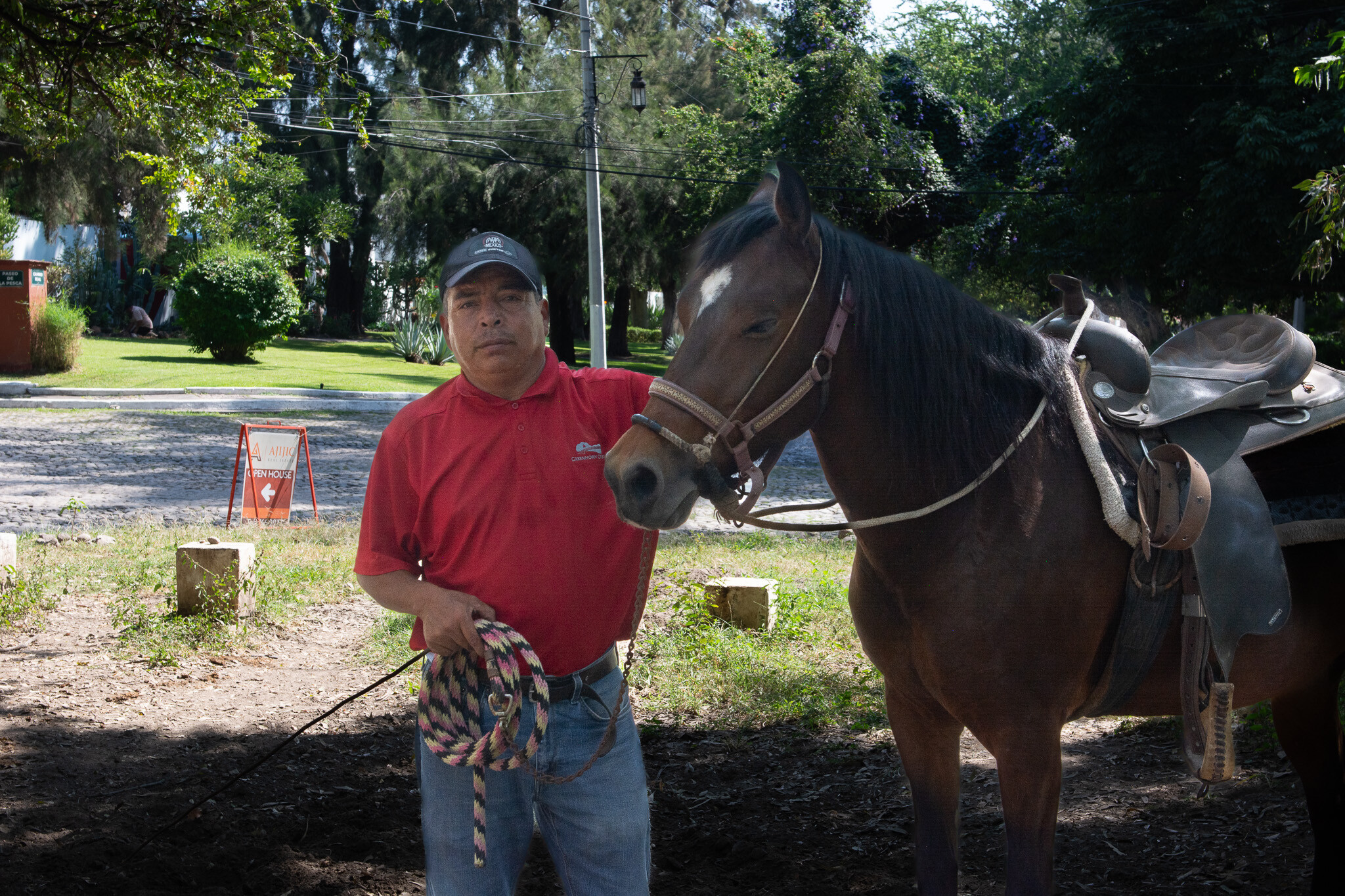 Horses of Ajijic-22