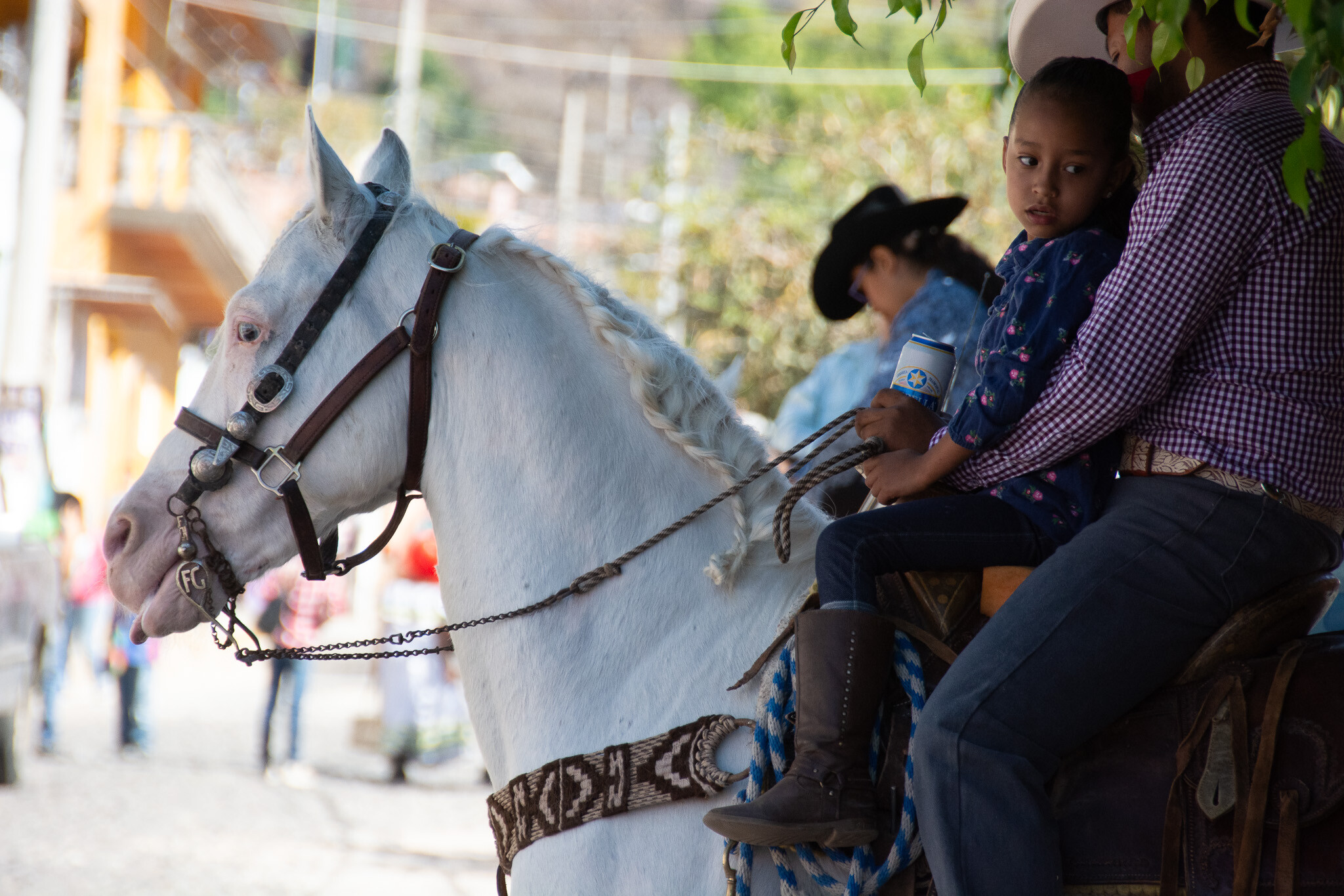 Horses of Ajijic-6